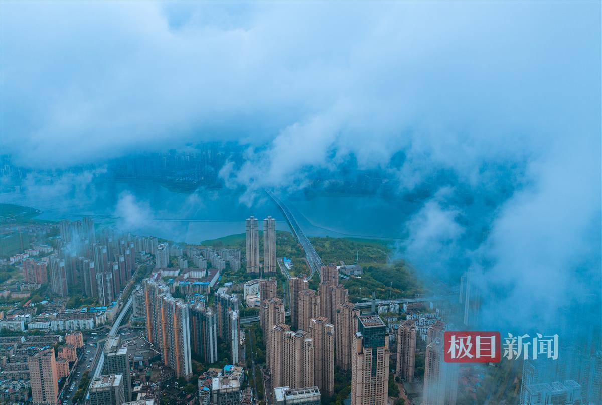 鲨鱼分析软件